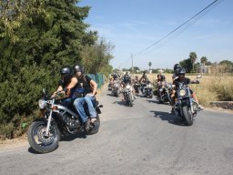 XVII Concentracion - 2010